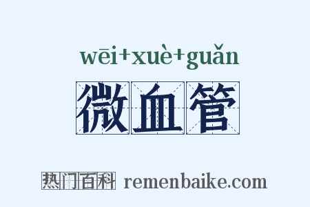微血管是什么意思的图片